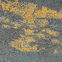 Stained Concrete